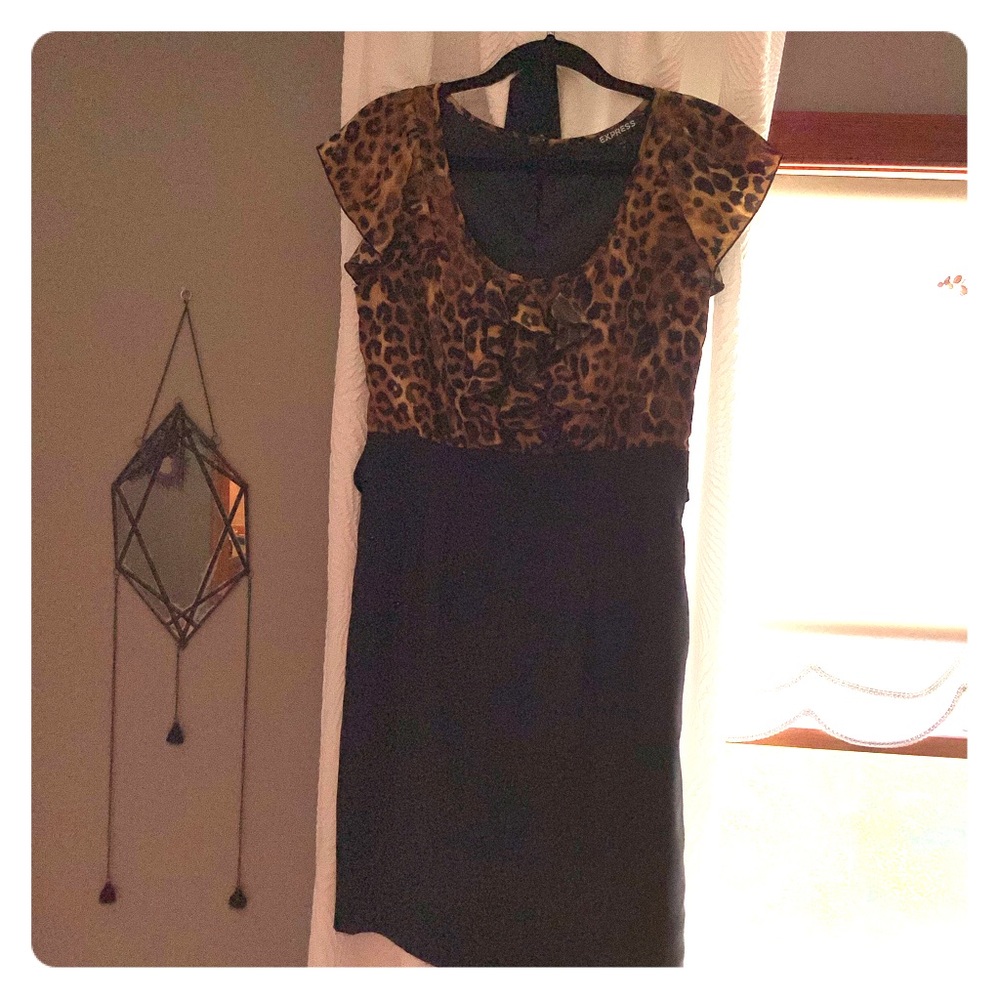 [express] professional fit dress with style 6